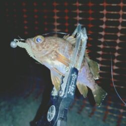 とにかく釣りたいメバリング