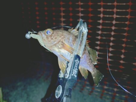 とにかく釣りたいメバリング