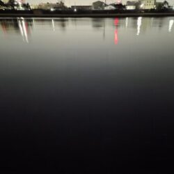 のっこみチヌ！