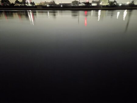 のっこみチヌ！