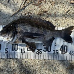 イチノ兄弟、釣果！