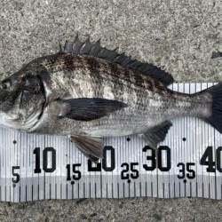 イチノ兄弟、釣果！