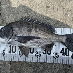 イチノ兄弟、釣果!