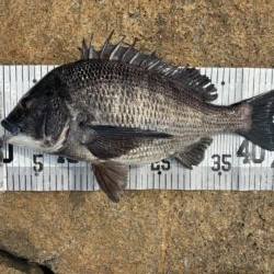 イチノ兄弟、釣果!