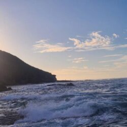 和歌山市江（吉丸渡船）でグレ釣り