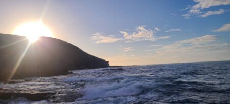 和歌山市江（吉丸渡船）でグレ釣り