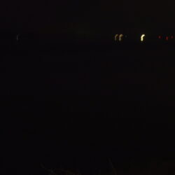 久々にベイトシーバス