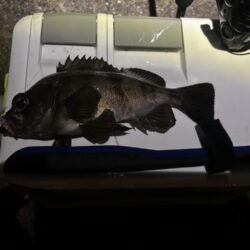 フロートメバリング