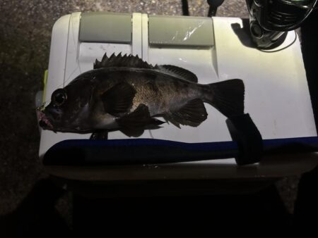 フロートメバリング