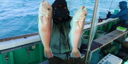 泉州丸 釣果