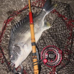 ヘチってきました