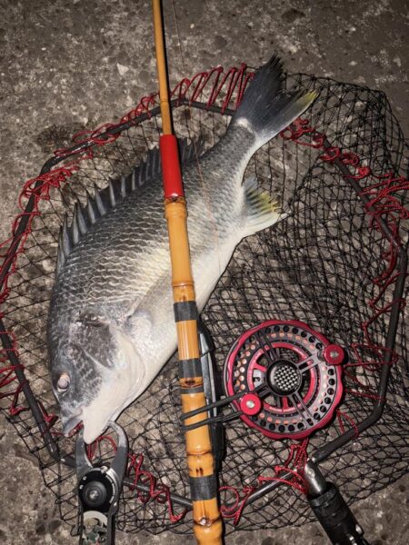 ヘチってきました