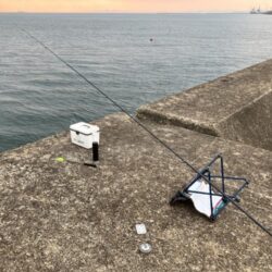 東二見メバル26