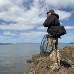 中海チニング再び