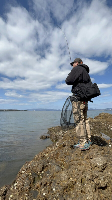 中海チニング再び
