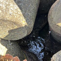 2026.No.7 ライトゲーム