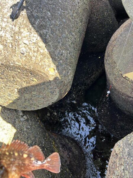 2026.No.7 ライトゲーム