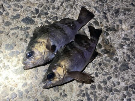 渋い日が続きます