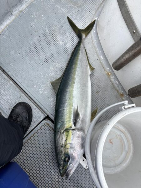 初ジギングin丹後