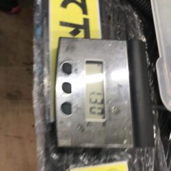 春イカはじめました^ – ^