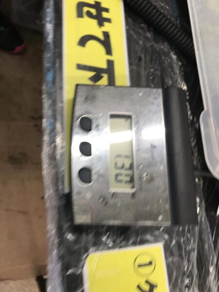 春イカはじめました^ – ^