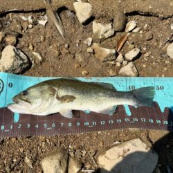 プリスポーン⁉️