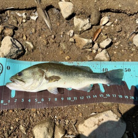 プリスポーン⁉️