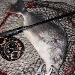 ヘチってきました