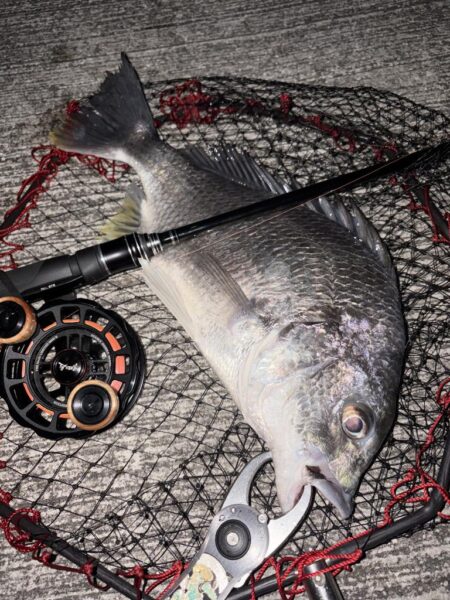 ヘチってきました