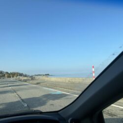 ヤリイカ　　コズクラ