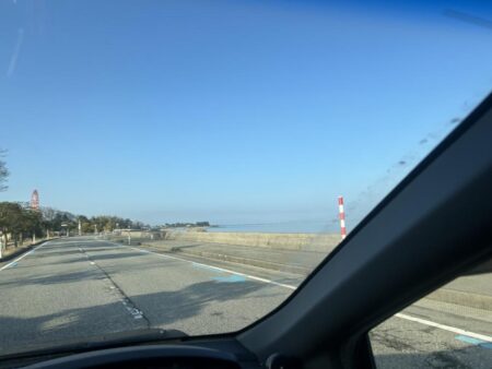 ヤリイカ　　コズクラ