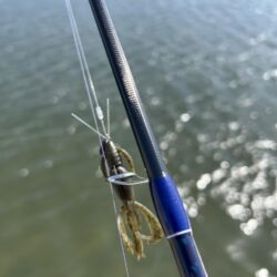 やっと今年2枚目！