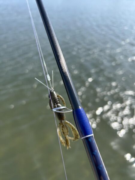 やっと今年2枚目！