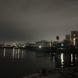 3連勝！！爆釣千葉港✨