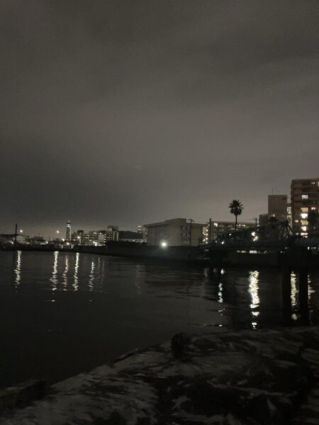 3連勝！！爆釣千葉港✨