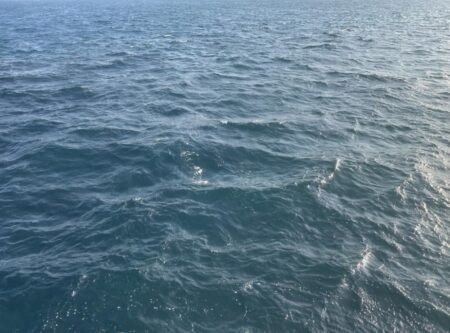 2026年ショアジギ初戦でメジロ!