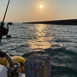 鳥取港近海デカアジサビキ釣り｜今回も激渋！