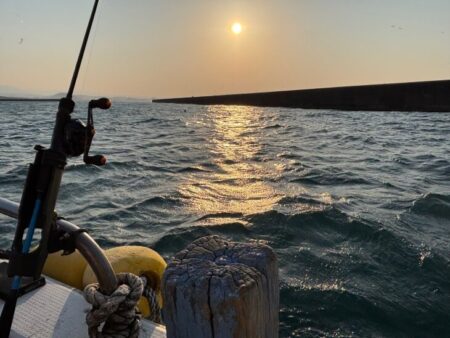 鳥取港近海デカアジサビキ釣り｜今回も激渋！