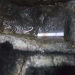 清掃活動：春の遠投カゴ釣り