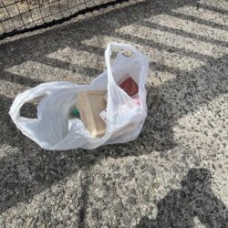 清掃活動：釣りはじめ。初舌平目