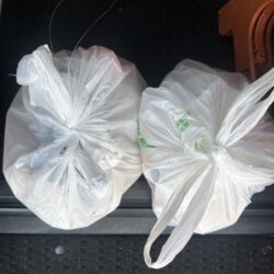 清掃活動：花見カレイ