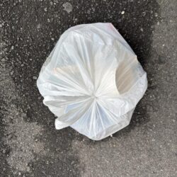 清掃活動：ハネ、チヌ活性高いです