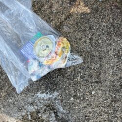 清掃活動：エギングのはずがヤエン