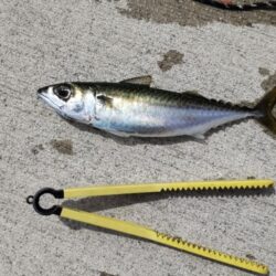 2時間チャレンジ