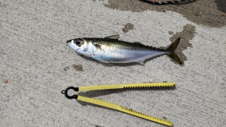 2時間チャレンジ