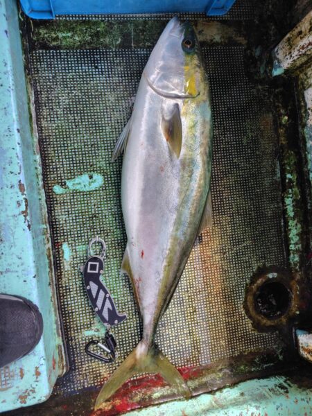 淡路島西側ジギング