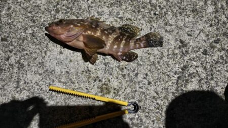 新釣法を極めん！