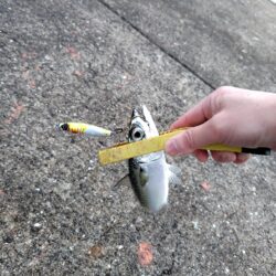 ショアジギ準備