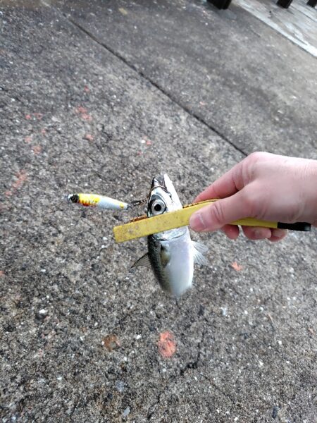 ショアジギ準備