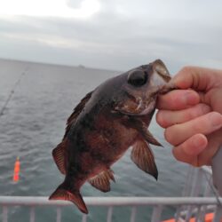 久しぶりの須磨